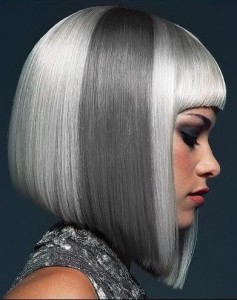 Silver-Hair-9